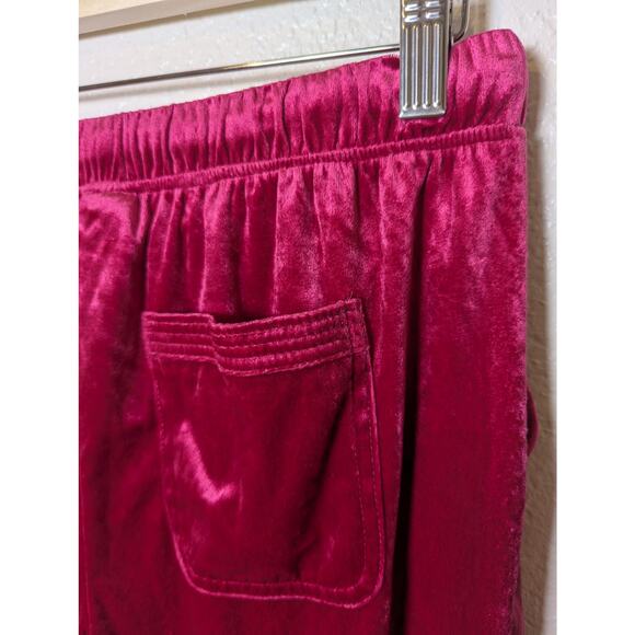Anthropologie Saturday Sunday Pink Velour Jogger Pants Women Size S Soft Barbie - Picture 7 of 9